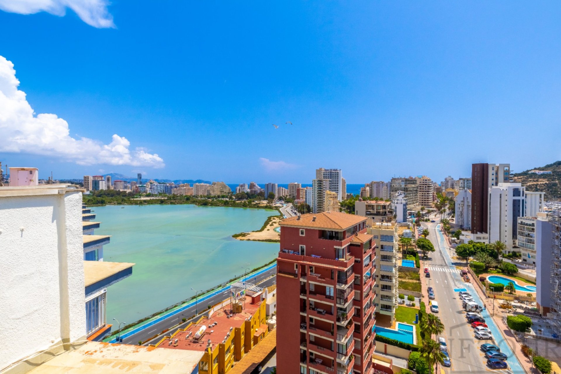 Alquiler - Apartmento - Calpe - Atlántico