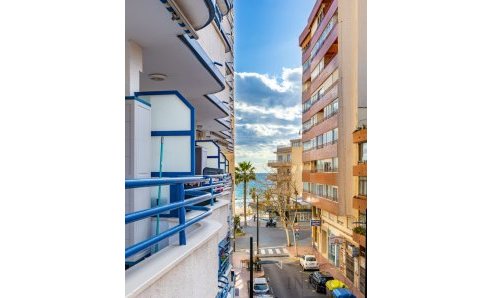 Apartment - Rent - Calpe - Arenal