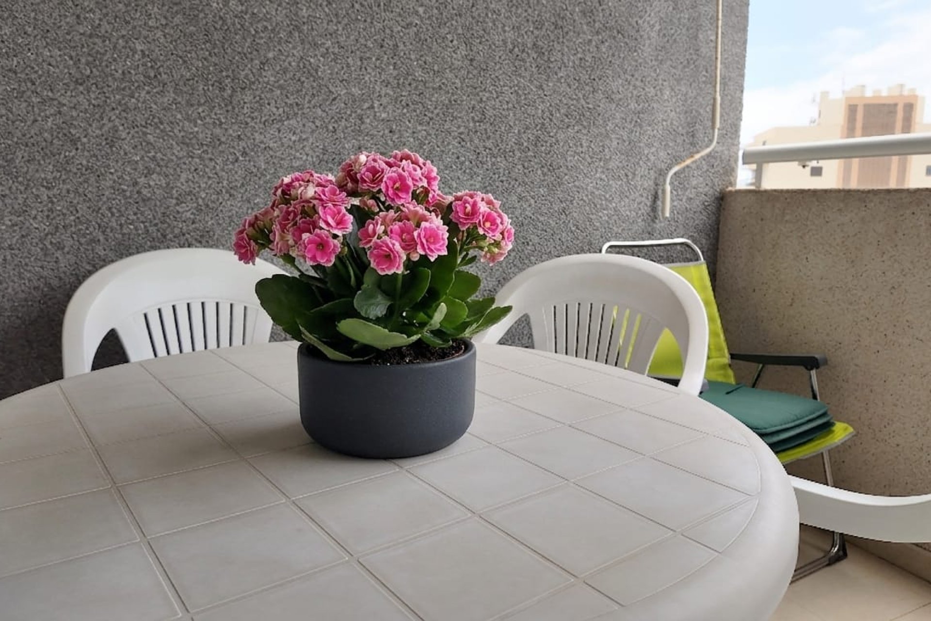 Herverkoop - Apartment - Calpe - Puerto