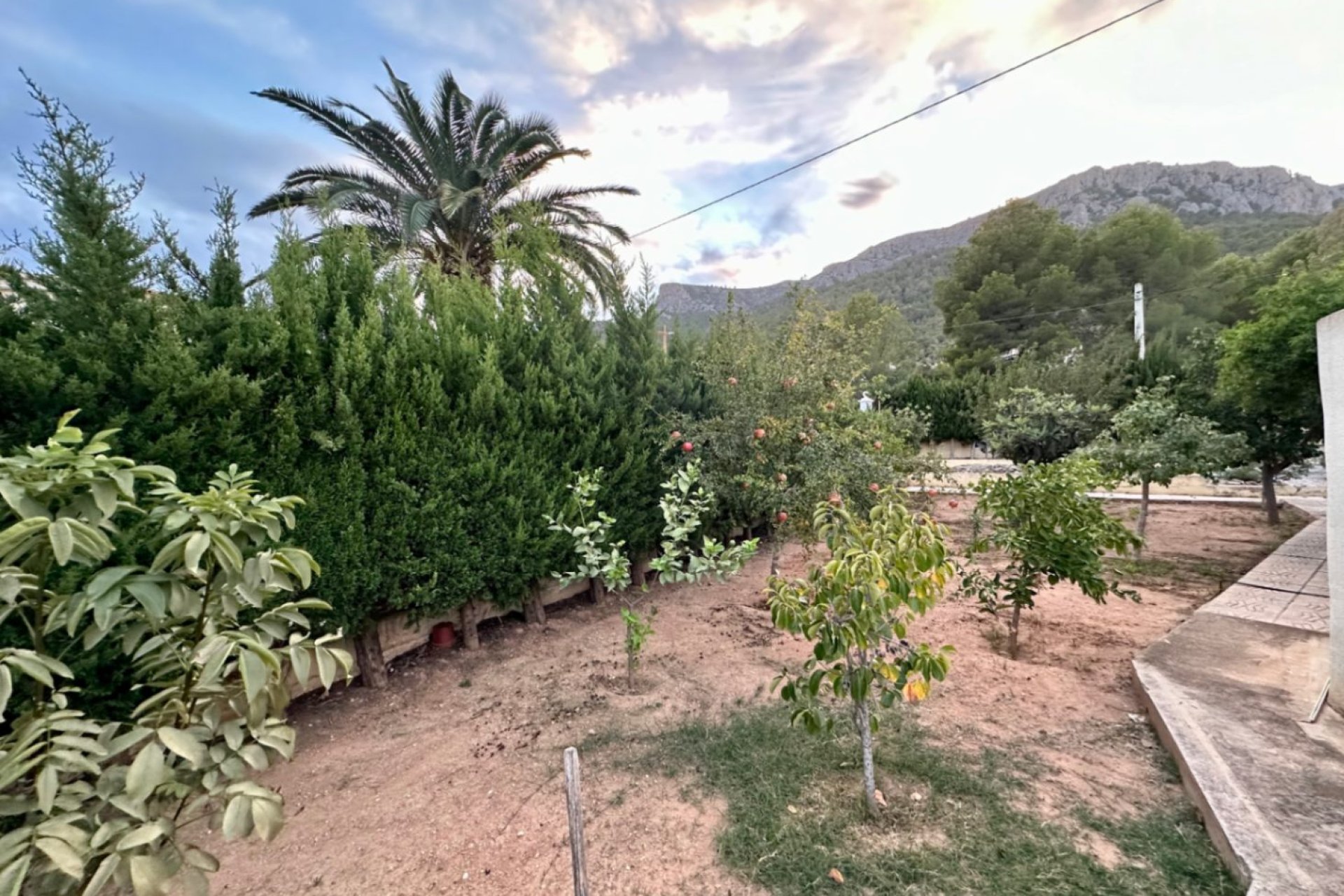 Herverkoop - house - Calpe