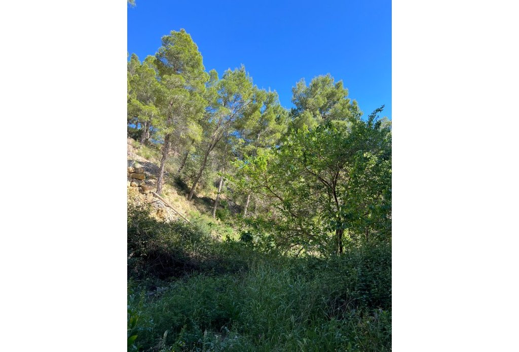 Herverkoop - Land - Altea