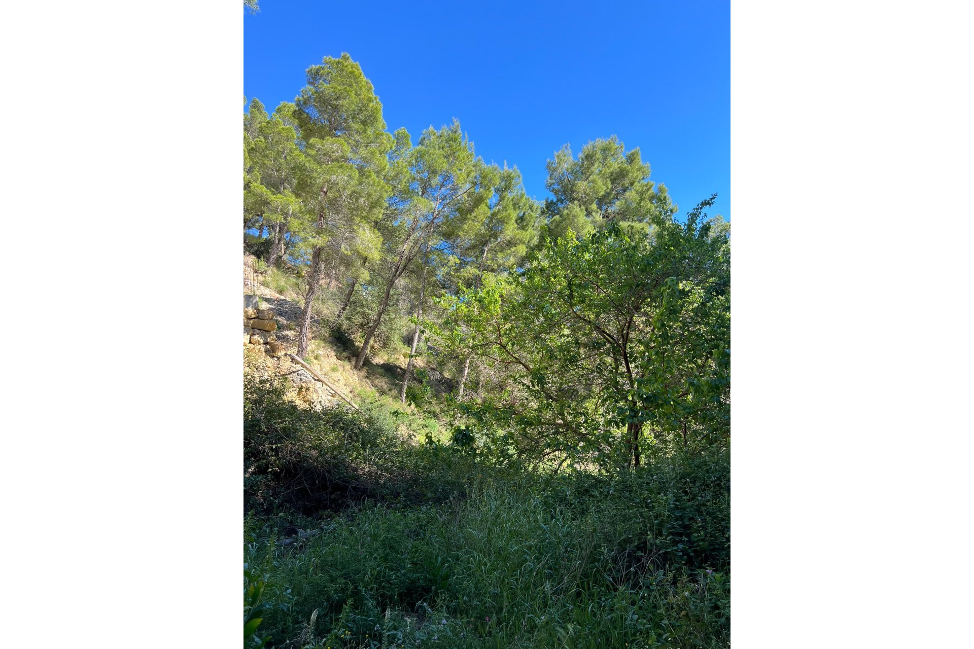 Herverkoop - Land - Altea