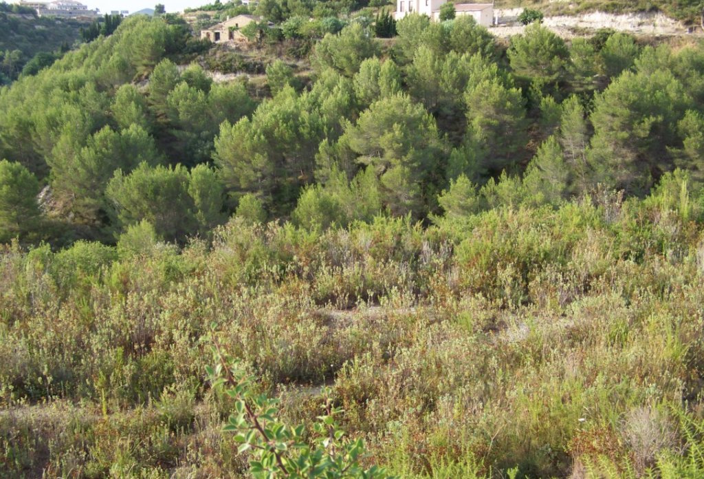 Herverkoop - Land - Benissa - Urbanizaciones