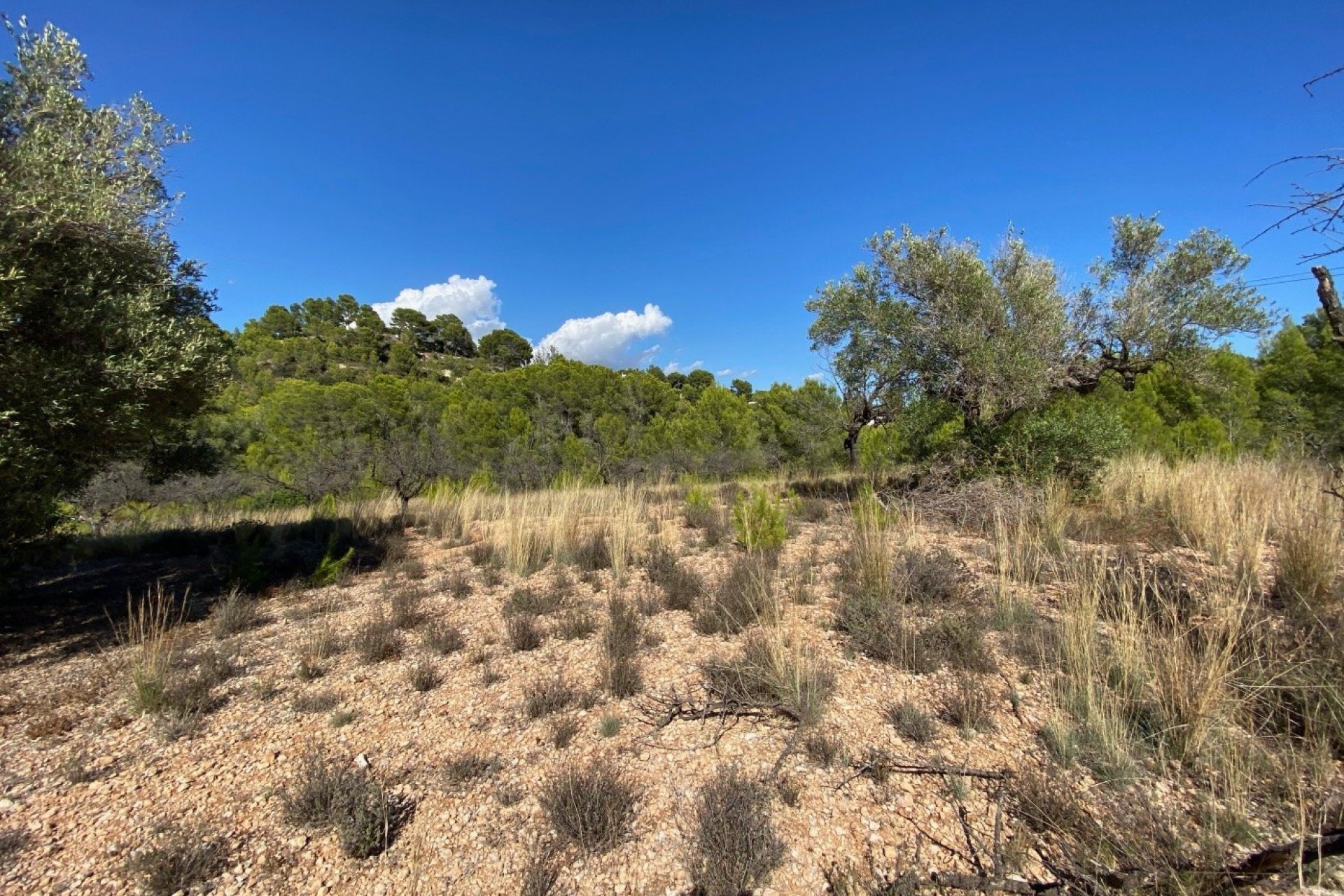 Herverkoop - Land - Benissa - Zona Rural