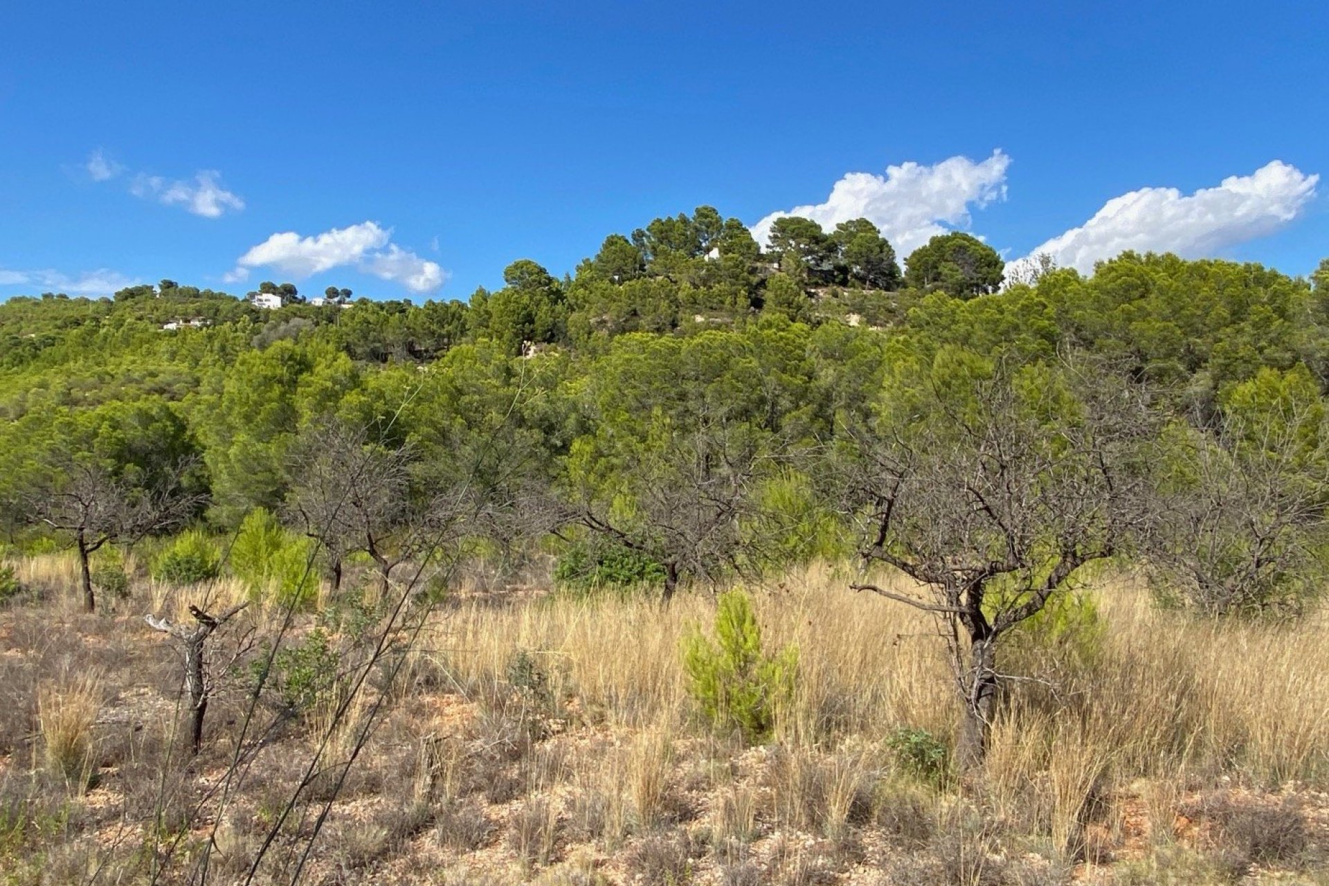 Herverkoop - Land - Benissa - Zona Rural