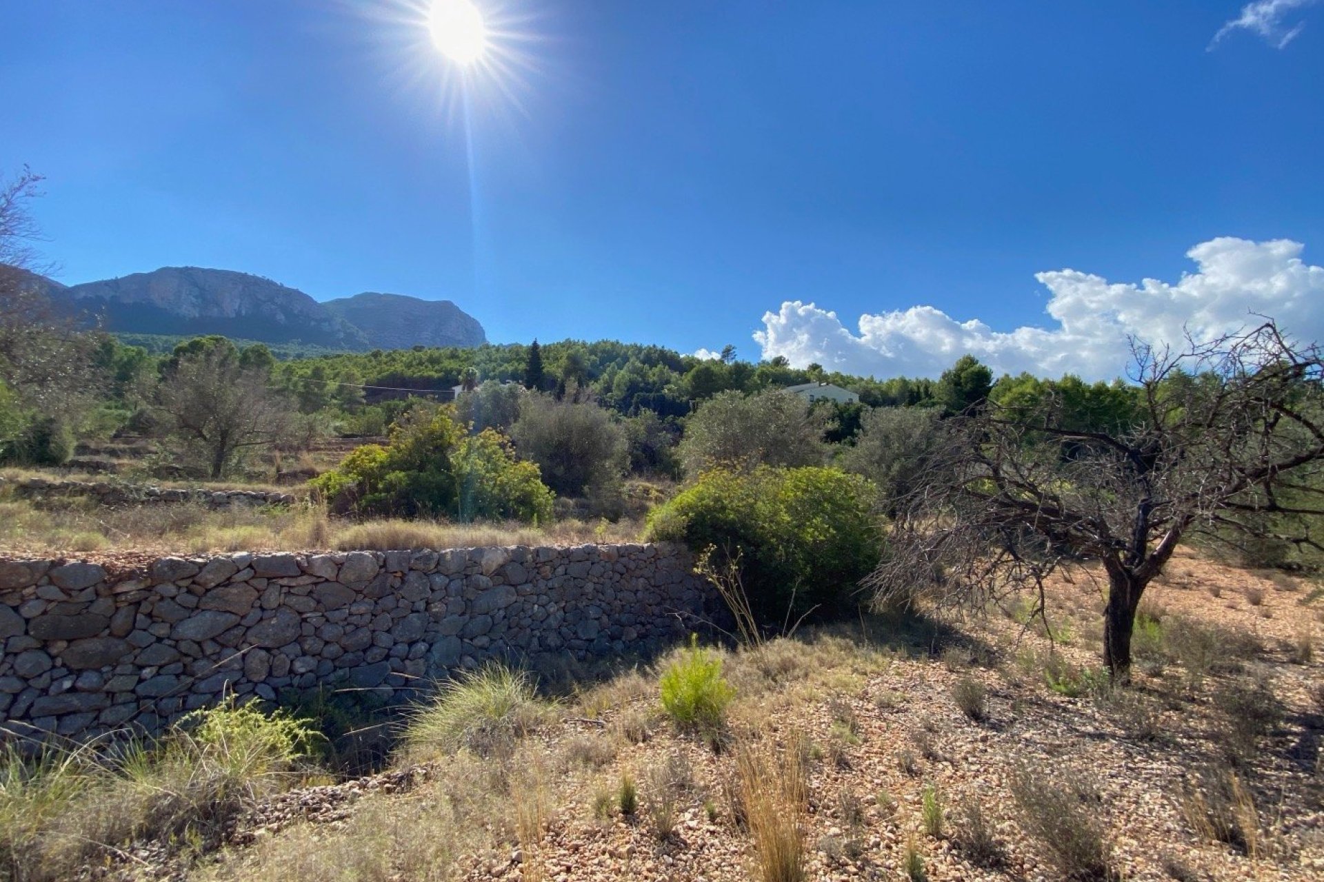 Herverkoop - Land - Benissa - Zona Rural