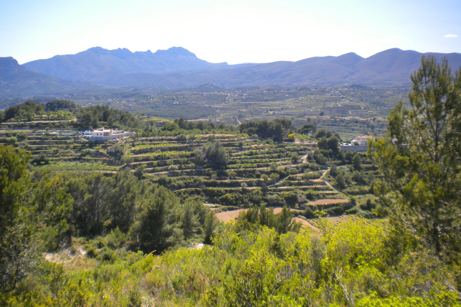 Herverkoop - Land - Benissa