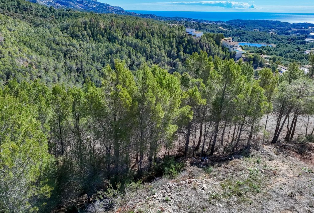 Herverkoop - Land - Callosa De Ensarrià - Santa clara