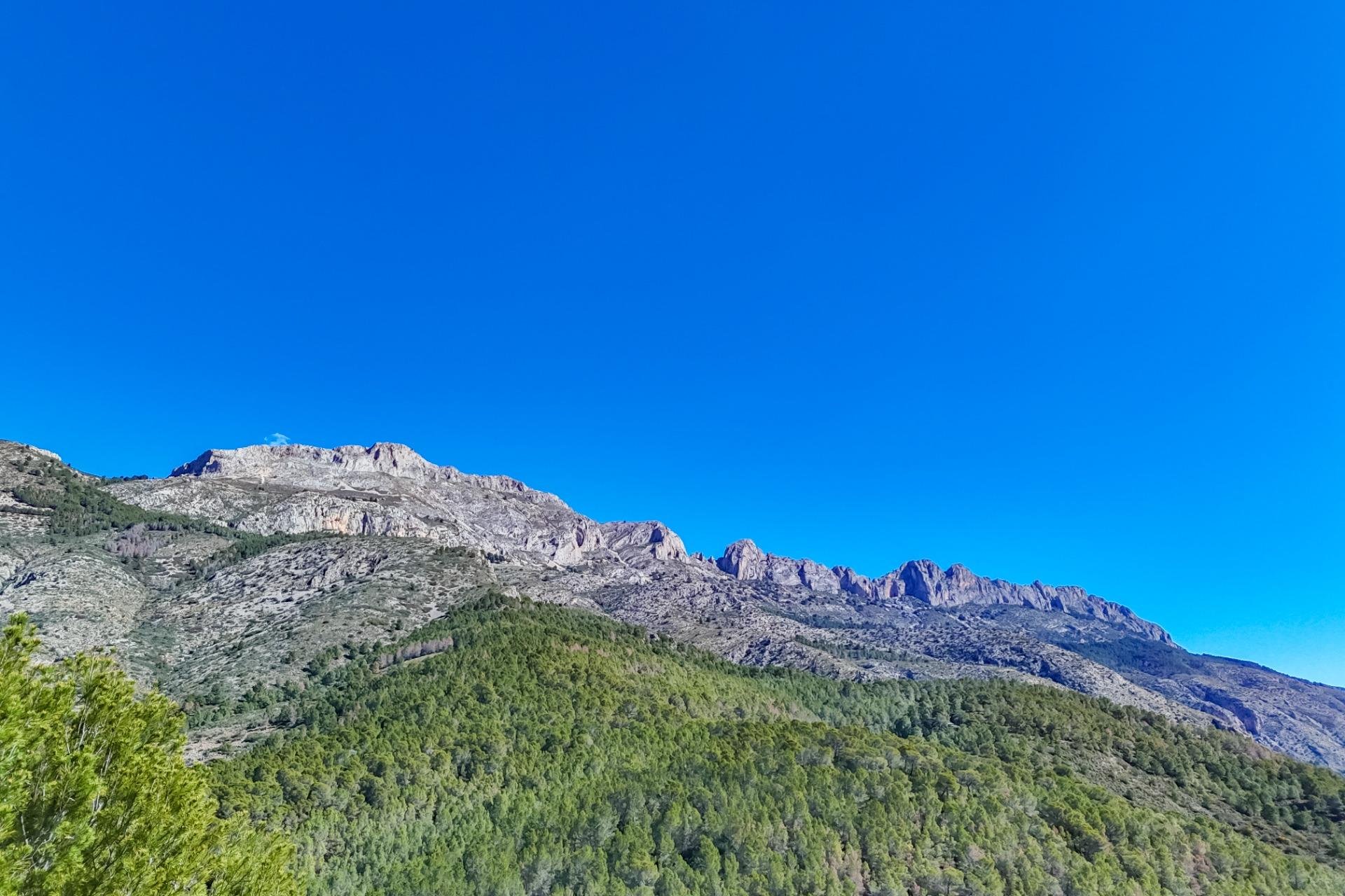 Herverkoop - Land - Callosa De Ensarrià - Santa clara