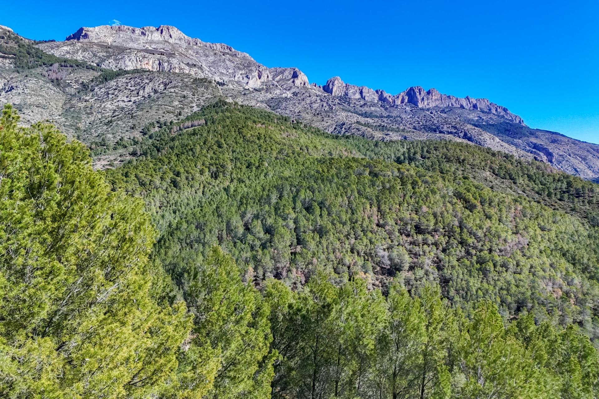 Herverkoop - Land - Callosa De Ensarrià - Santa clara