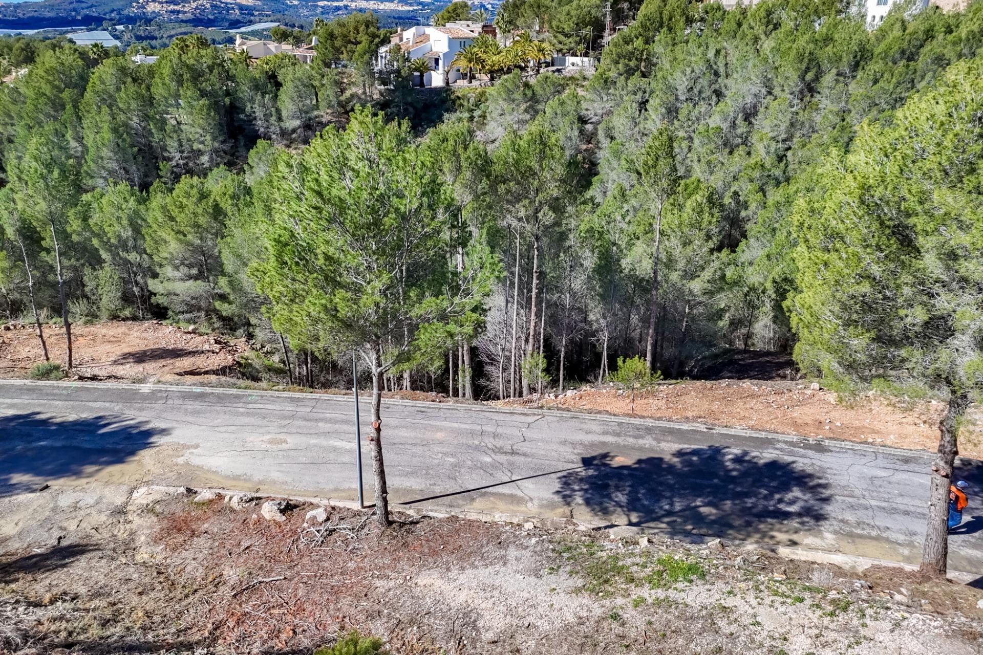 Herverkoop - Land - Callosa De Ensarrià - Santa clara