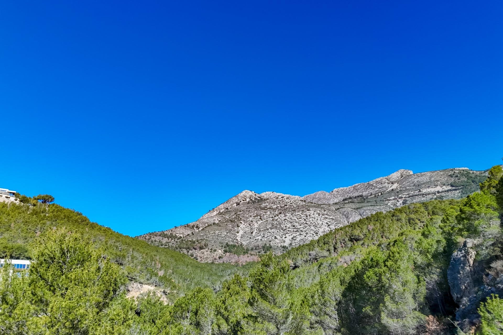 Herverkoop - Land - Callosa De Ensarrià - Santa clara