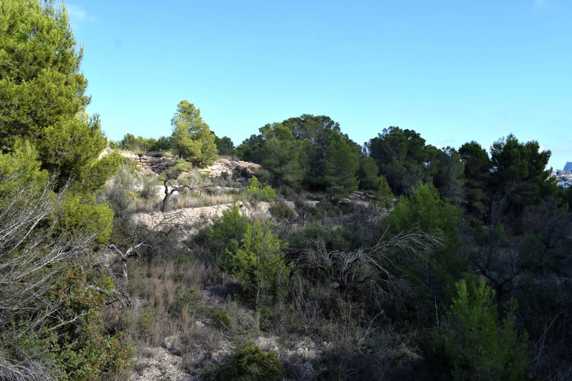 Herverkoop - Land - Calpe - Calpe - Urbanizaciones