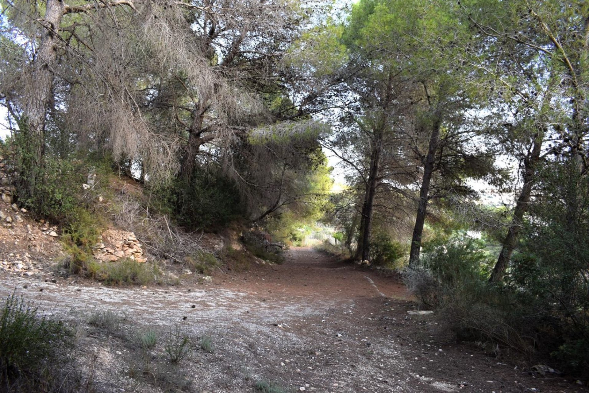 Herverkoop - Land - Calpe - Calpe - Urbanizaciones