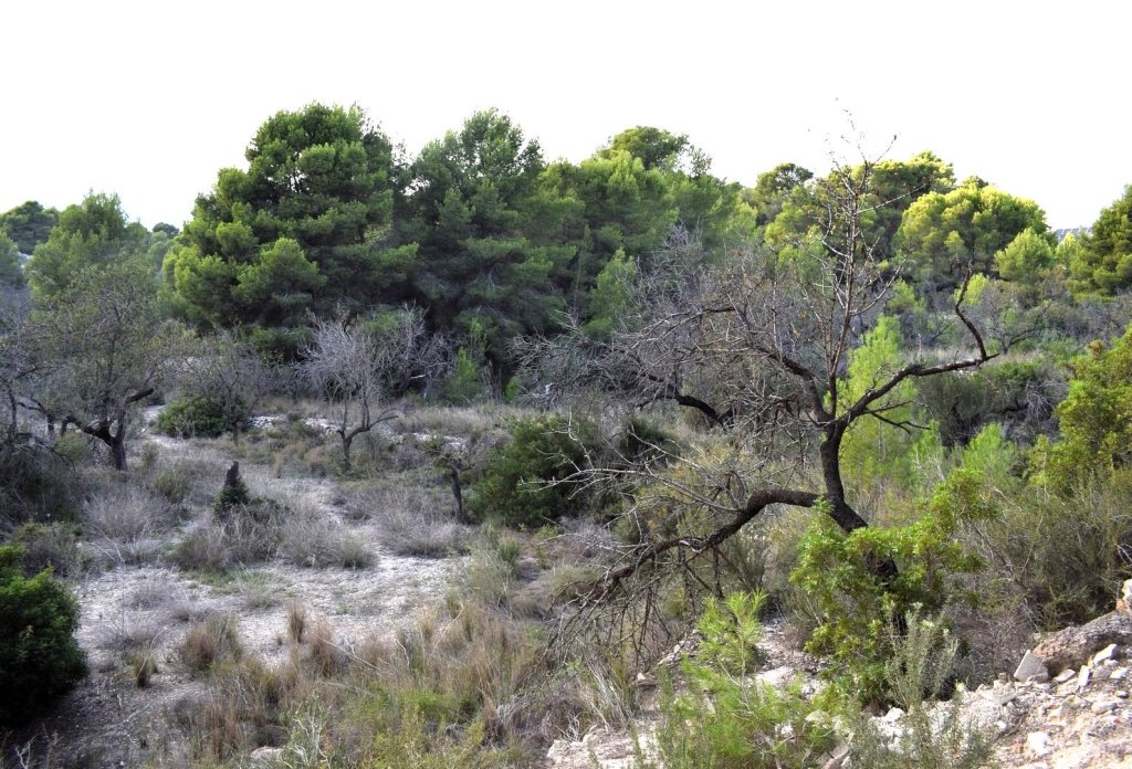 Herverkoop - Land - Calpe - Calpe - Urbanizaciones