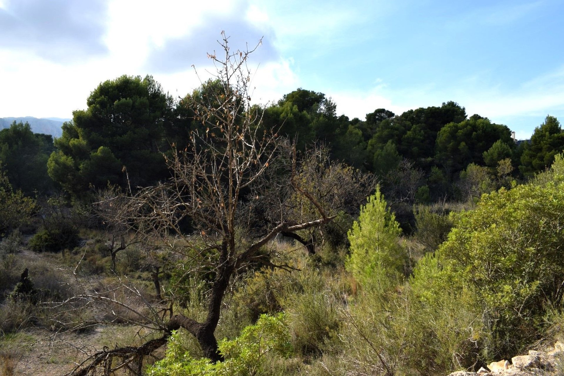 Herverkoop - Land - Calpe - Calpe - Urbanizaciones