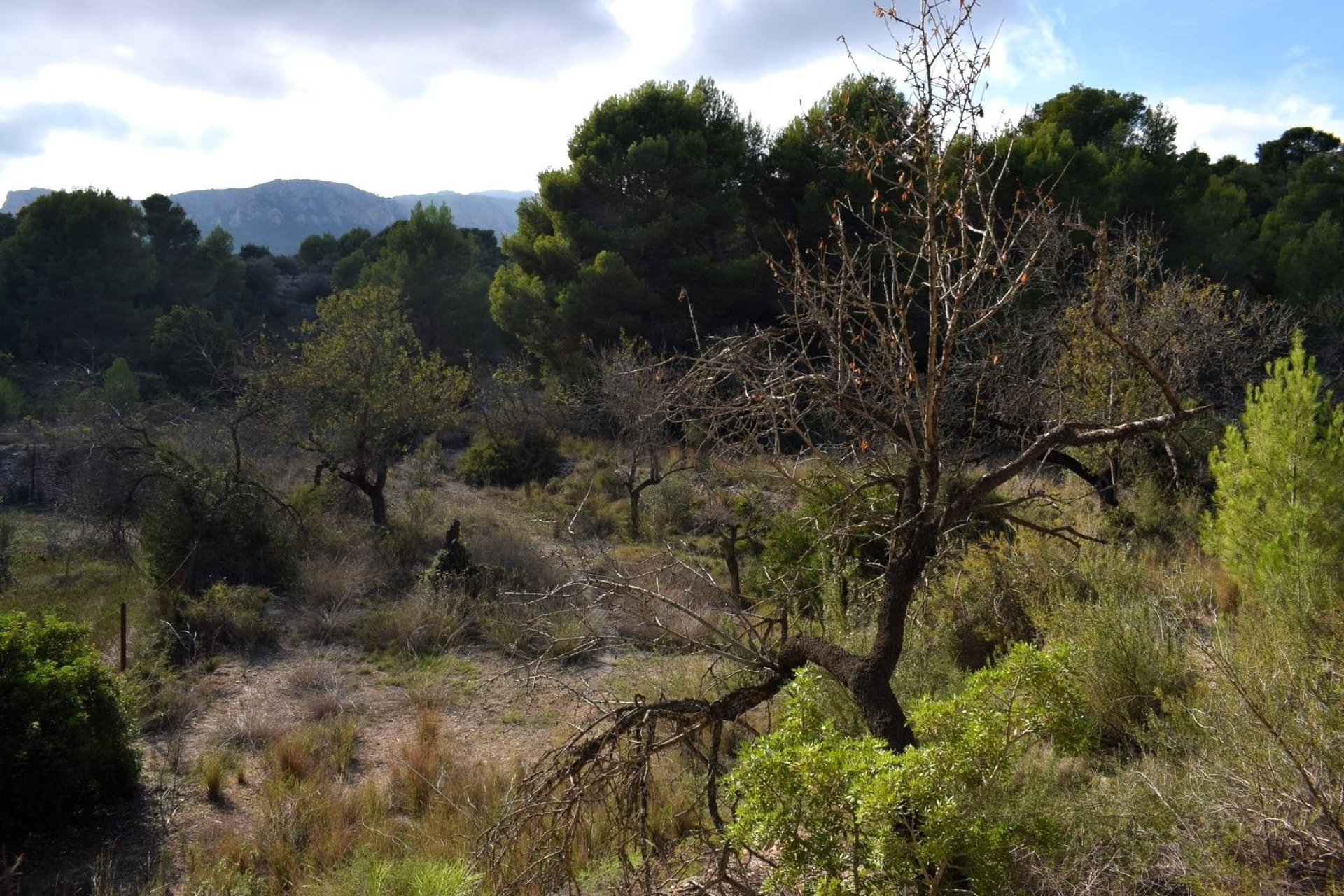 Herverkoop - Land - Calpe - Calpe - Urbanizaciones