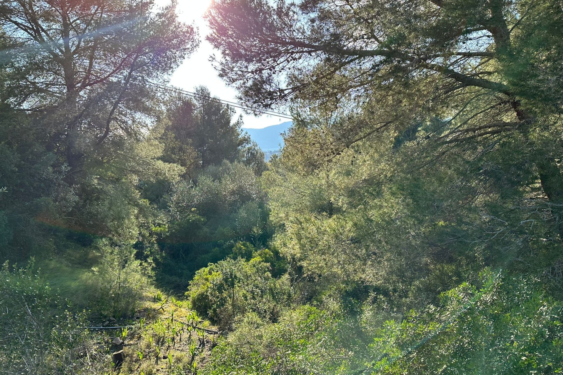 Herverkoop - Land - Calpe - Cometa