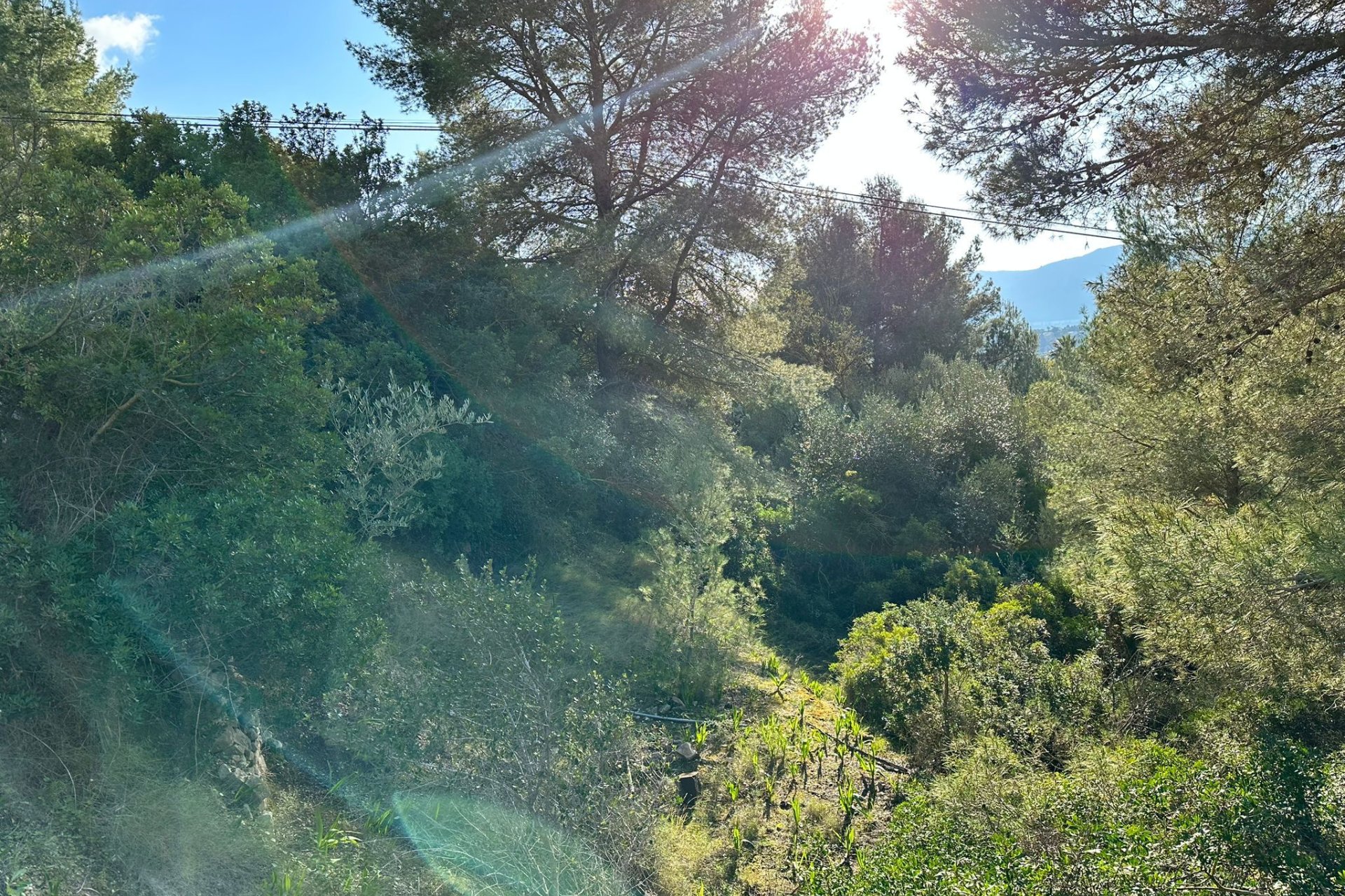 Herverkoop - Land - Calpe - Cometa