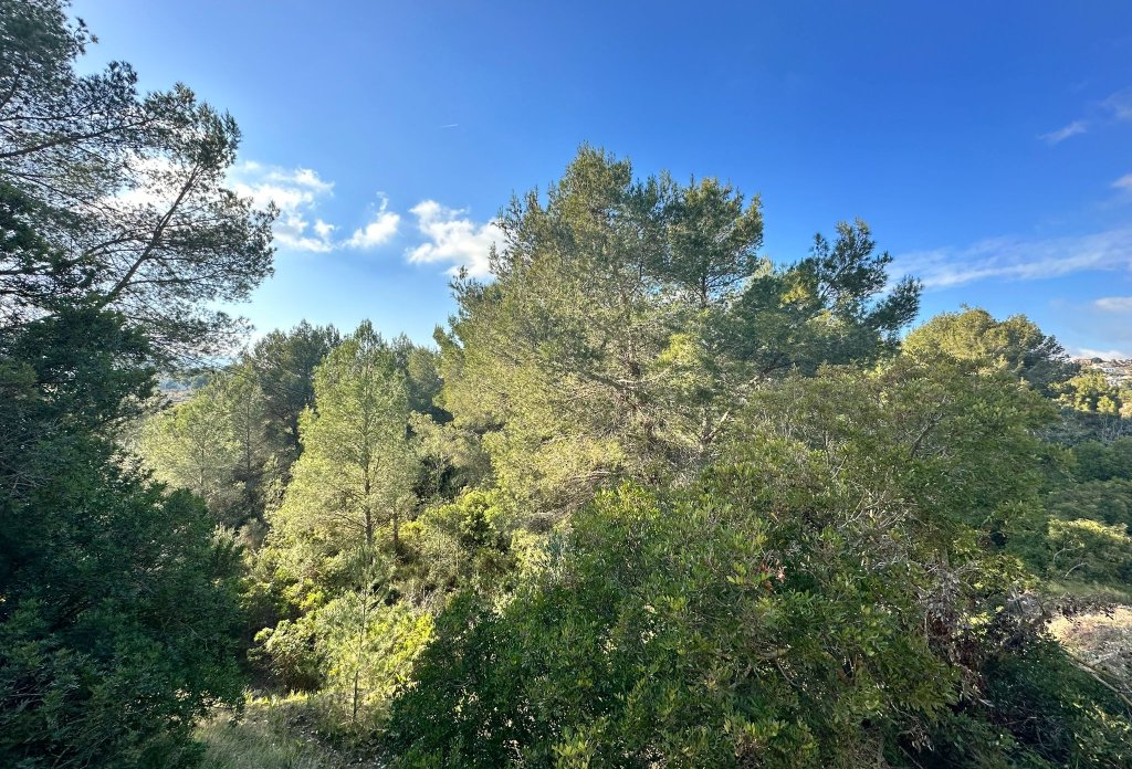 Herverkoop - Land - Calpe - Cometa