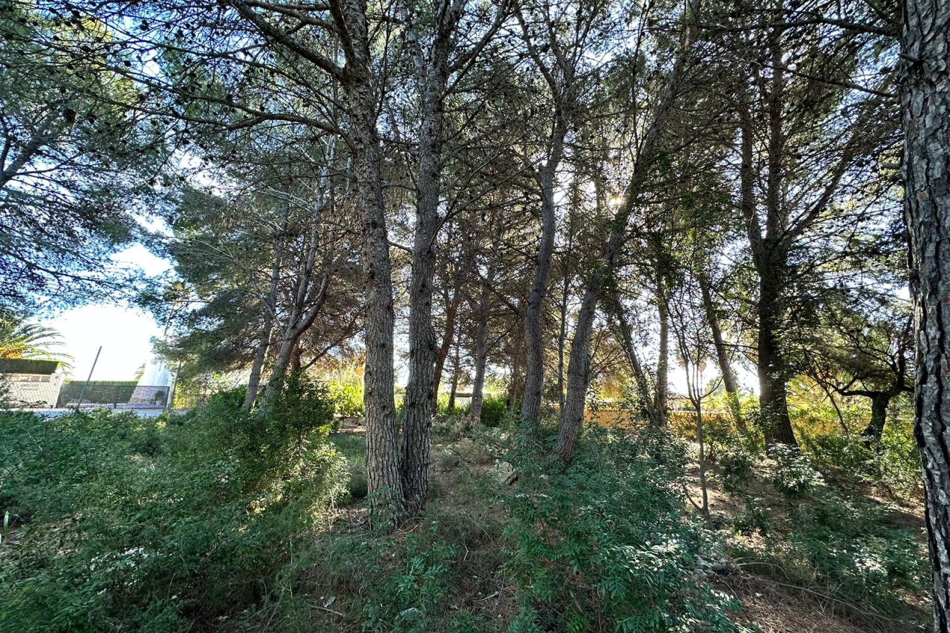 Herverkoop - Land - Calpe - Costeres