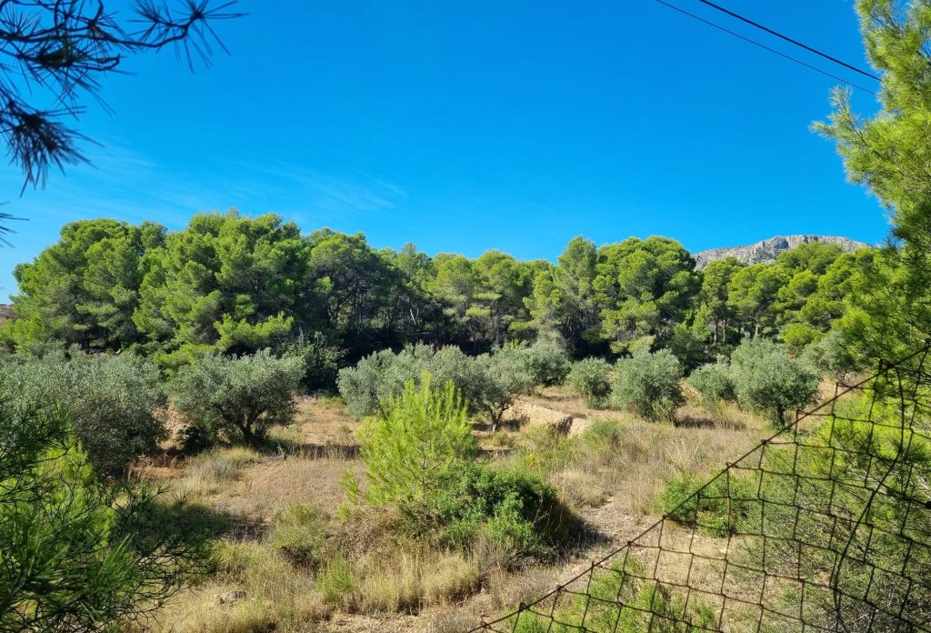 Herverkoop - Land - Calpe - Garduix