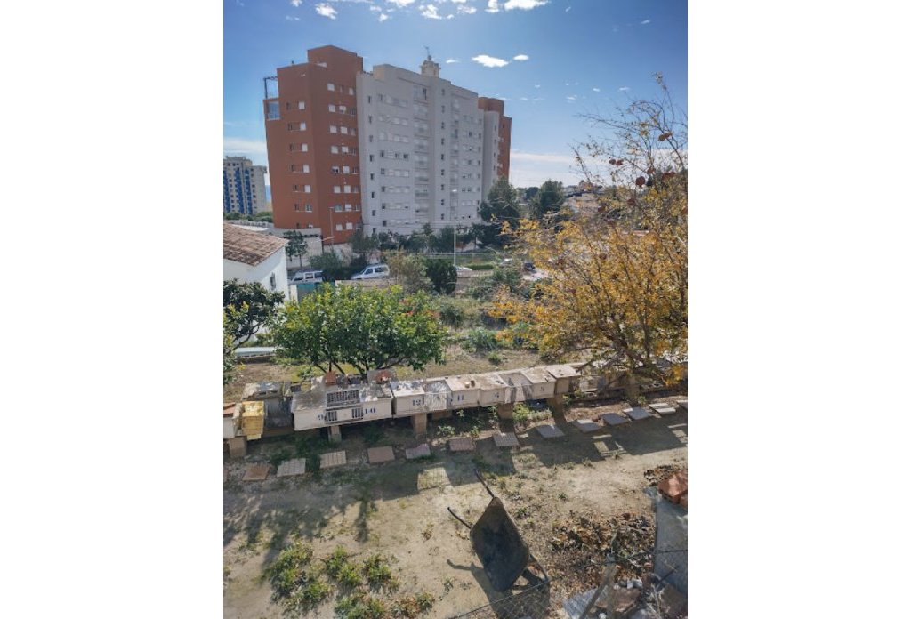 Herverkoop - Land - Calpe - Urban area