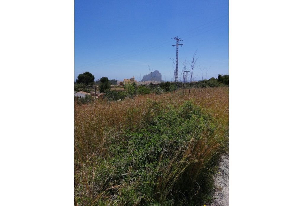 Herverkoop - Land - Calpe - Urbanizaciones