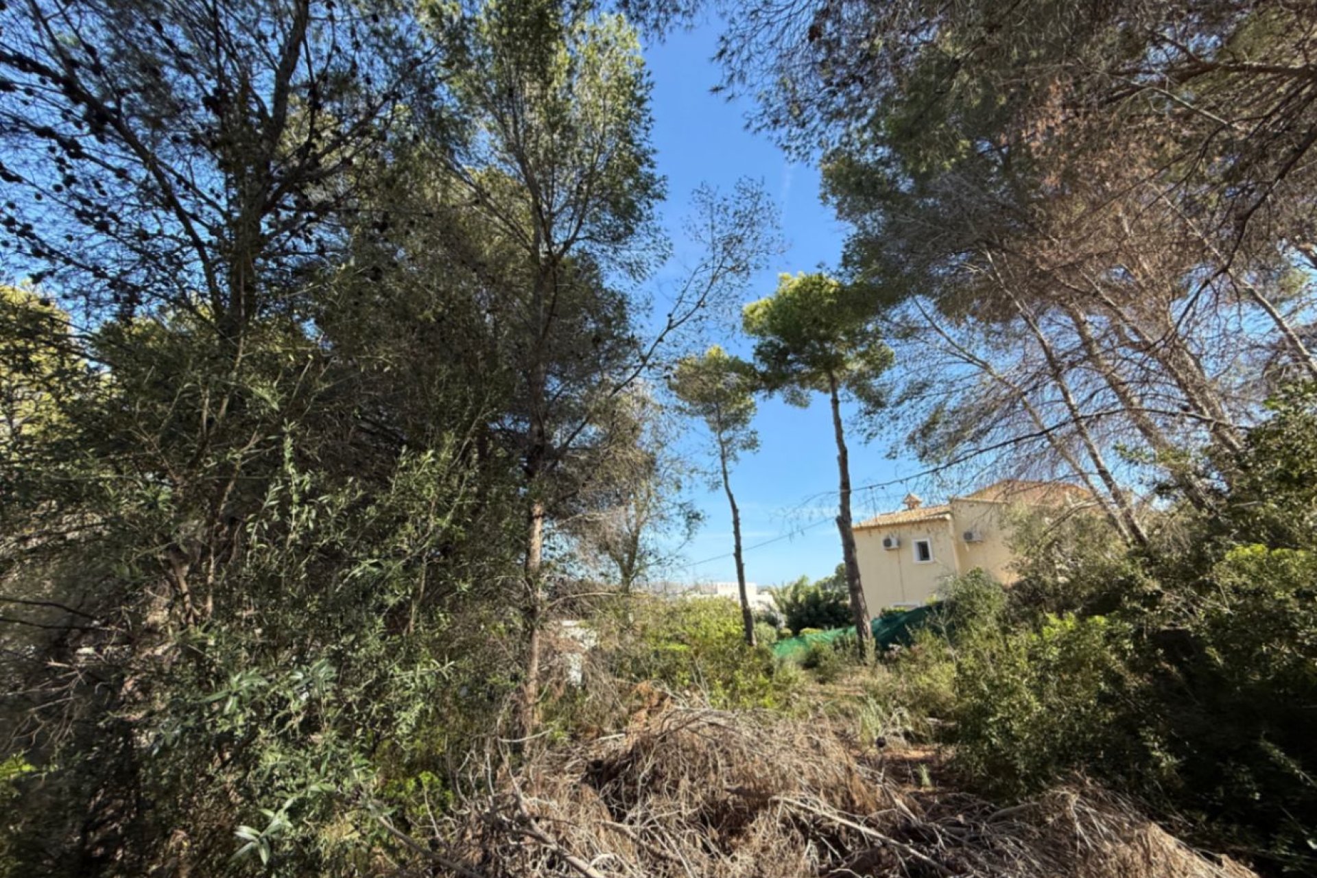 Herverkoop - Land - Teulada - Zona Residencial