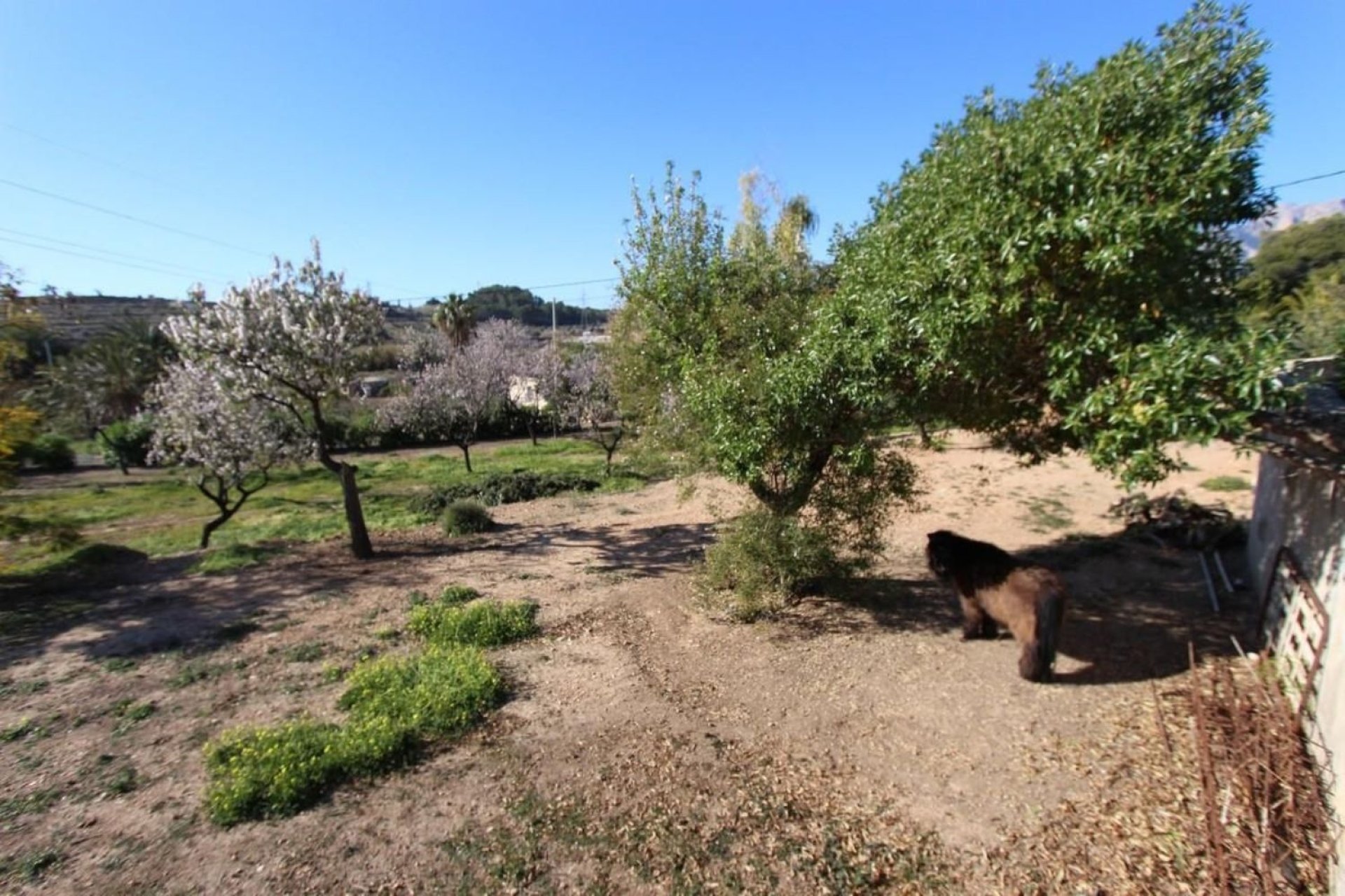 Herverkoop - Villa - La Nucía - El Tossal-Bello Horizonte