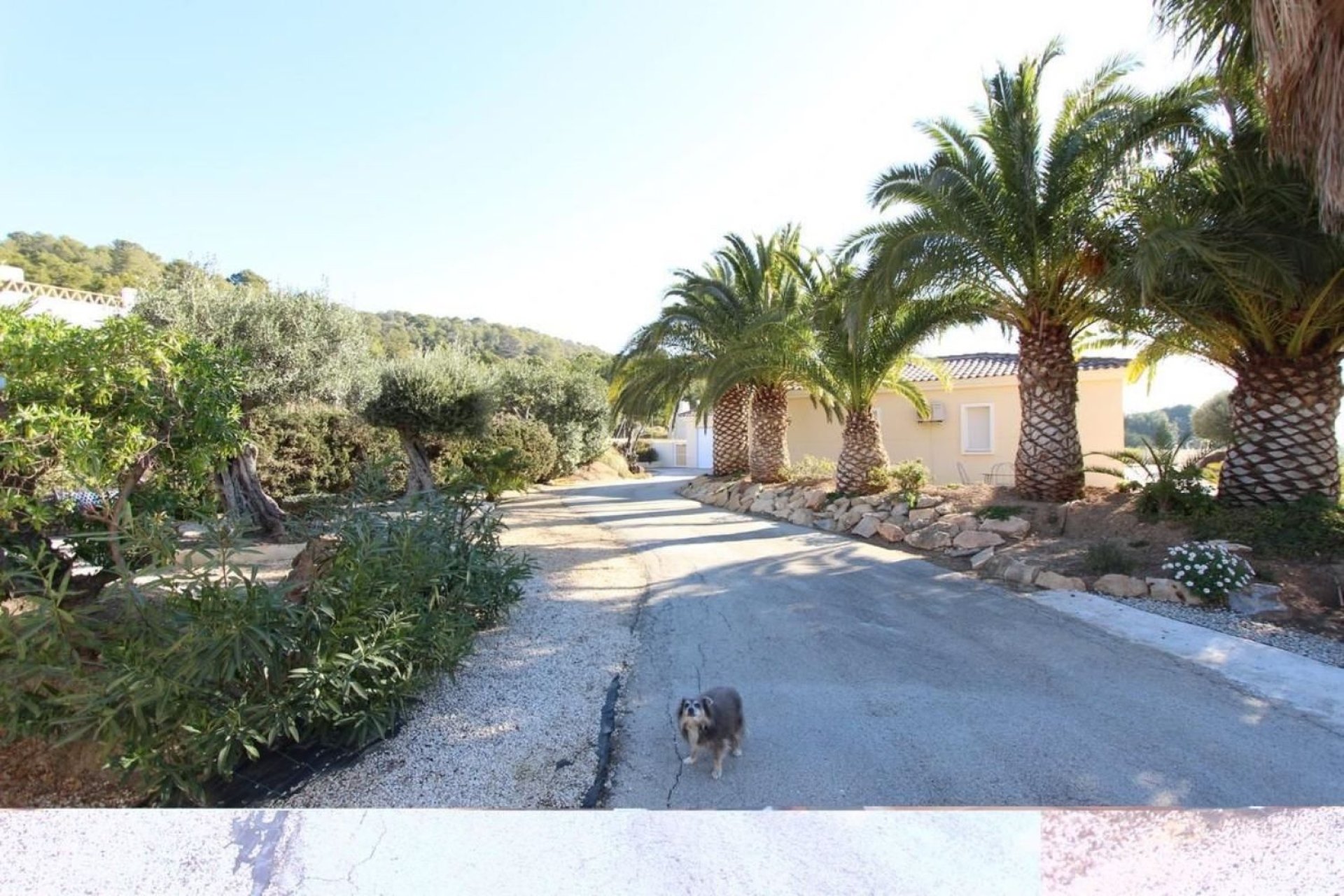 Herverkoop - Villa - La Nucía - El Tossal-Bello Horizonte