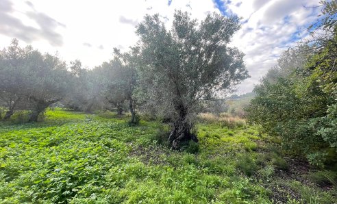 Plot - Reventa - Altea - Altea