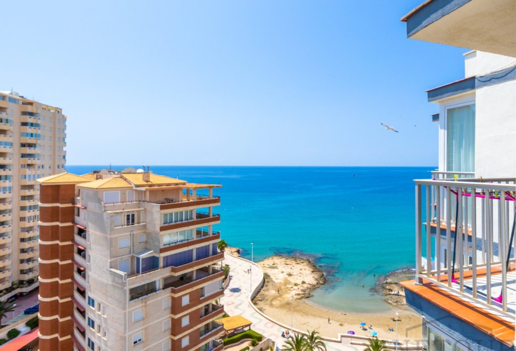 Rent - Apartment - Calpe - Atlántico