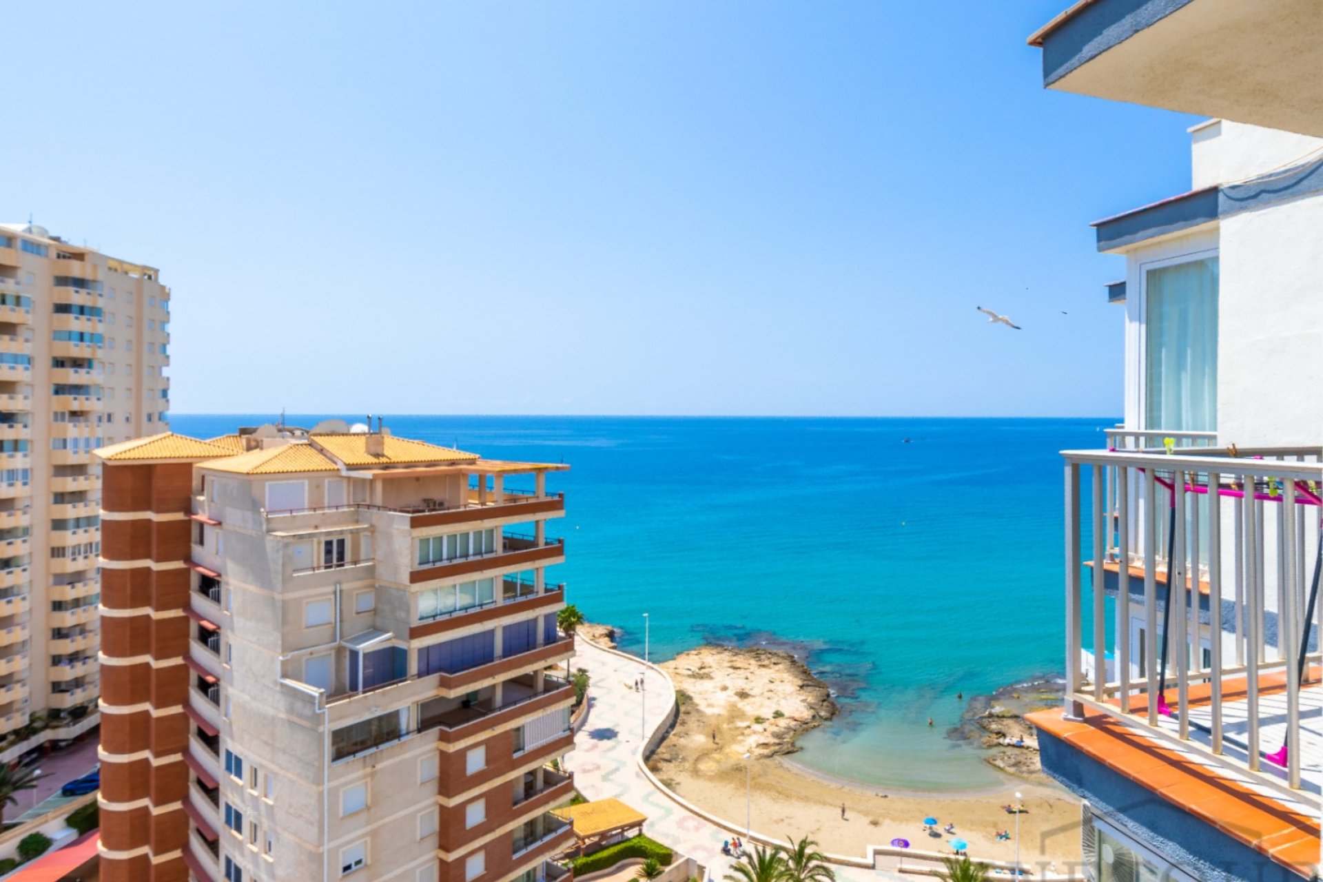 Rent - Apartment - Calpe - Atlántico