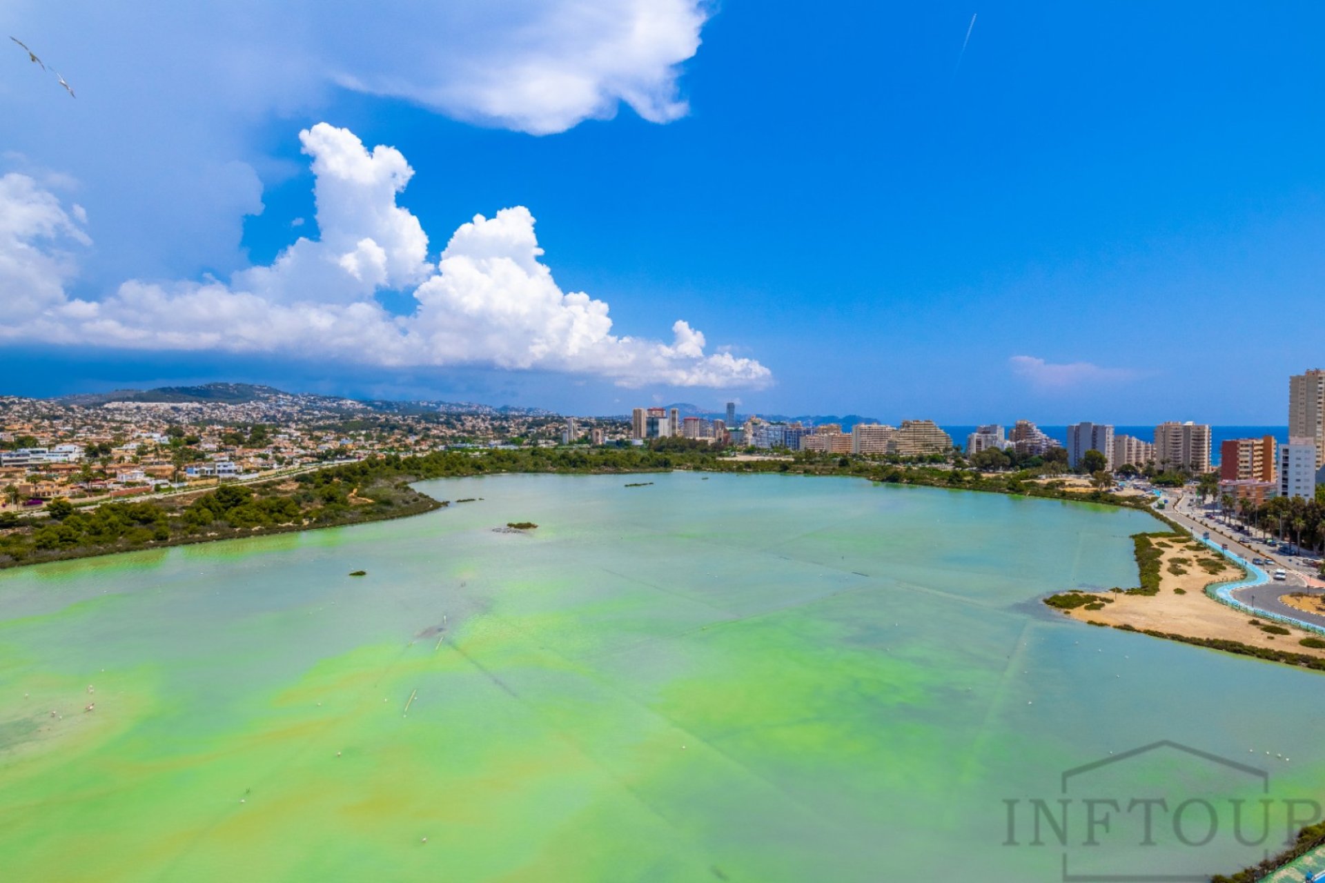 Rent - Apartment - Calpe - Atlántico