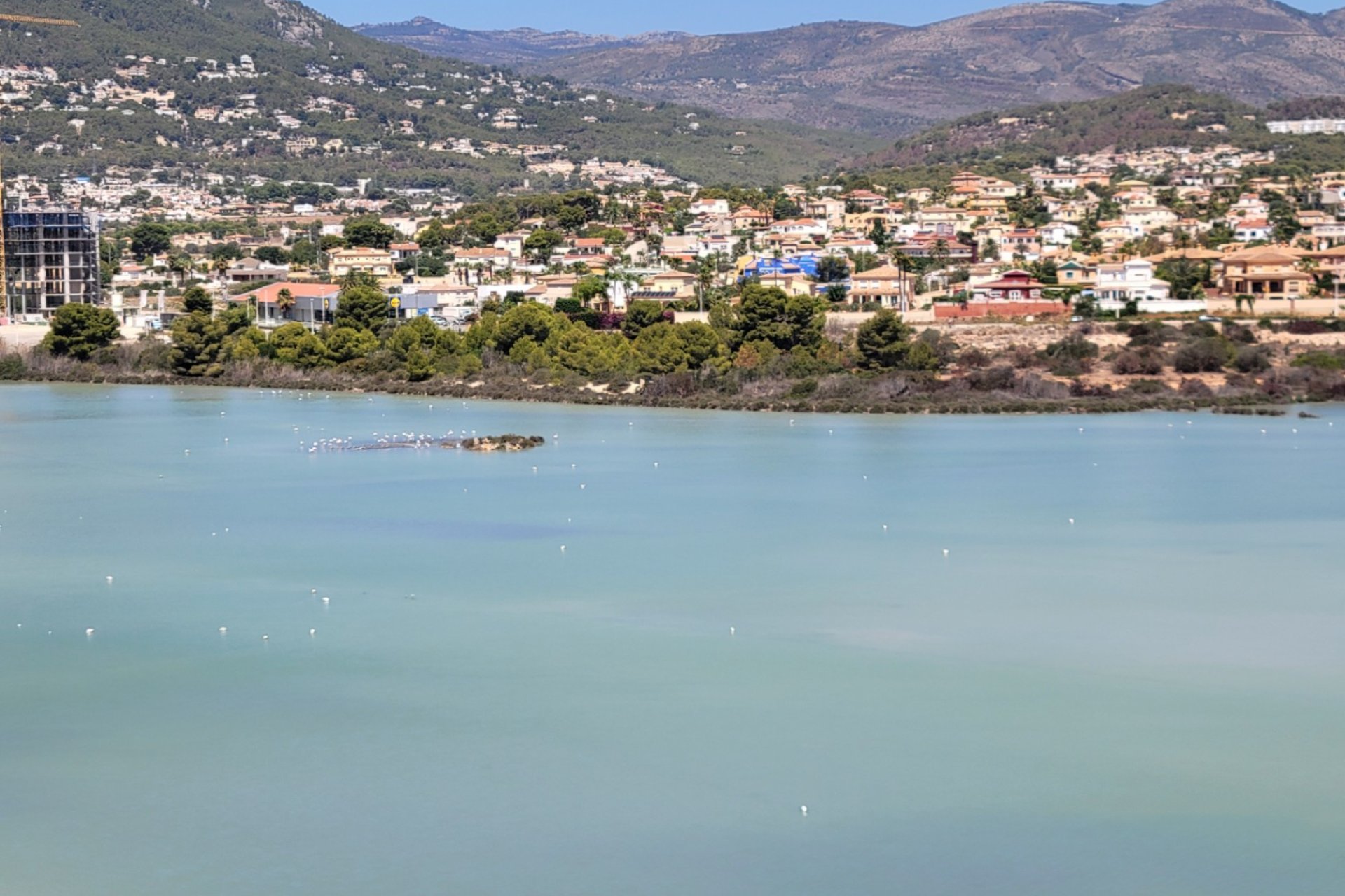 Resale - Apartment - Calpe - Playa