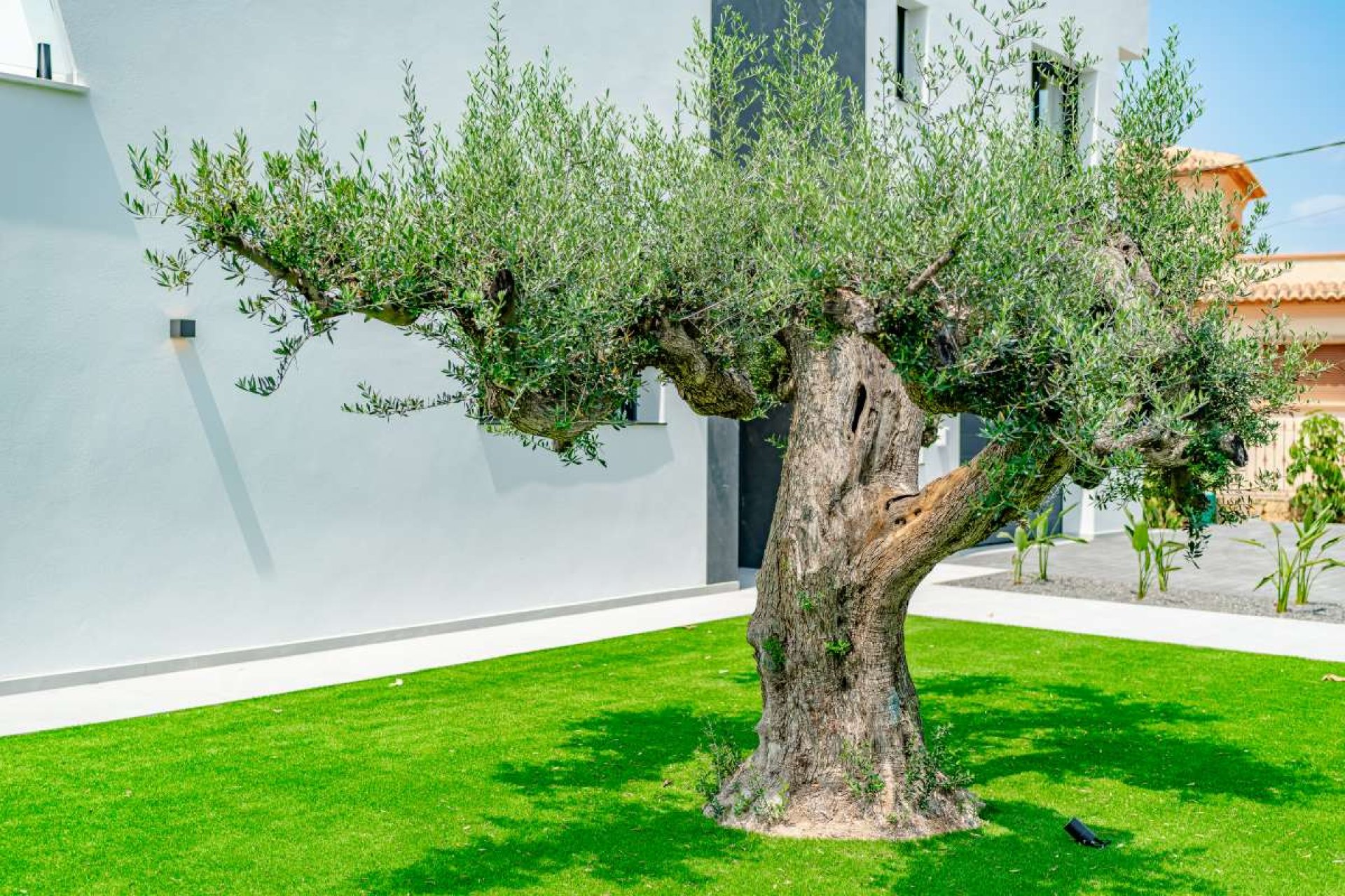 Resale - Detached house - Calpe