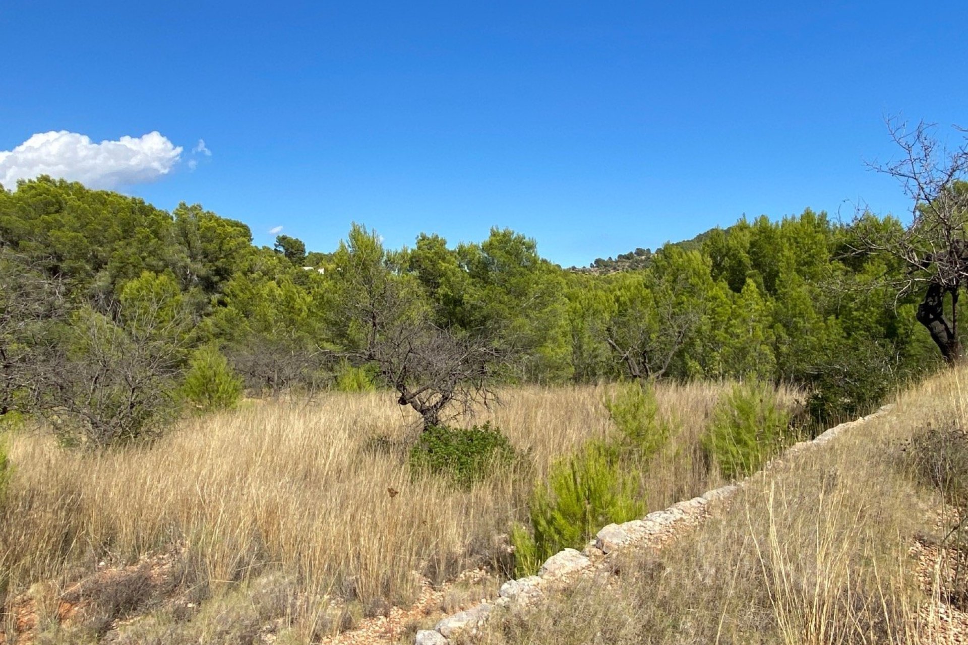 Resale - Land - Benissa - Zona Rural