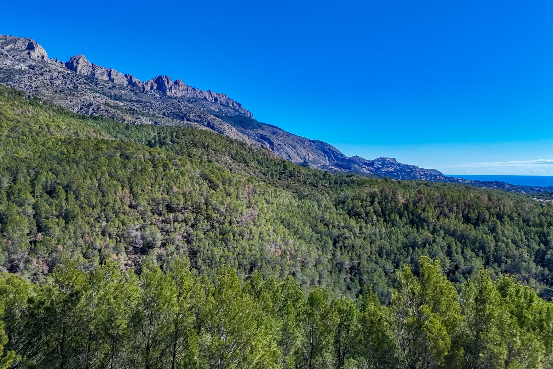 Resale - Land - Callosa De Ensarrià - Santa clara