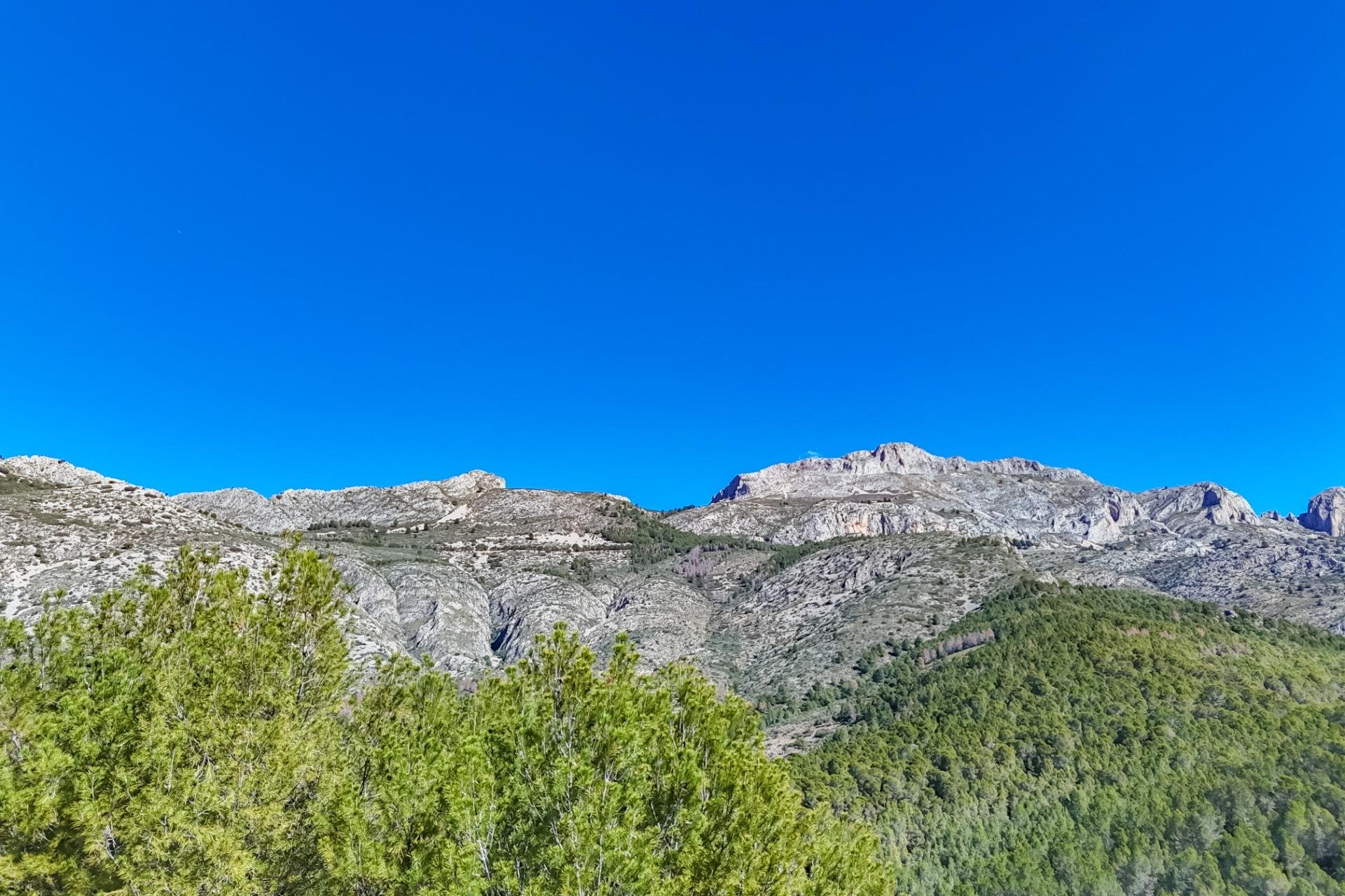 Resale - Land - Callosa De Ensarrià - Santa clara