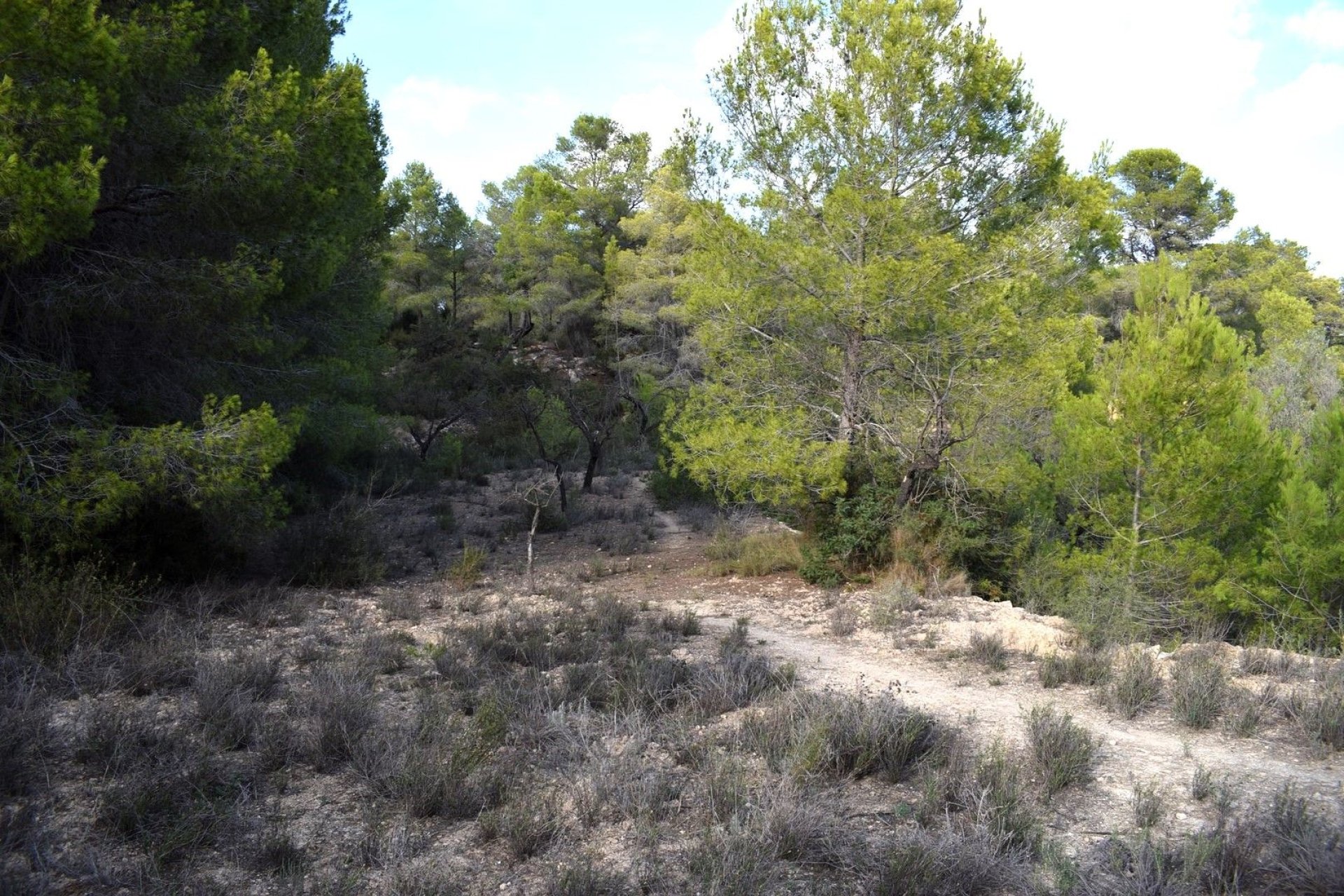 Resale - Land - Calpe - Calpe - Urbanizaciones