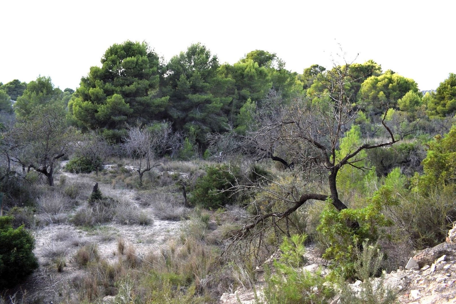 Resale - Land - Calpe - Calpe - Urbanizaciones