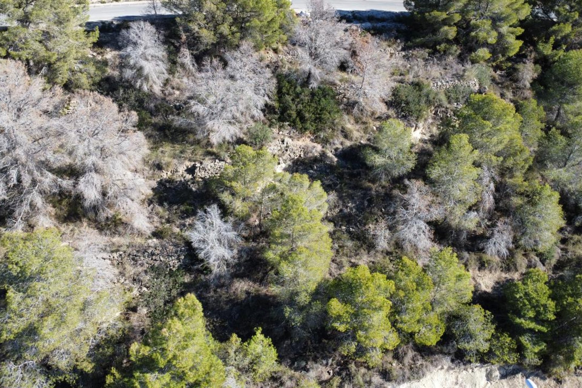 Resale - Land - Calpe - Colina Del Sol