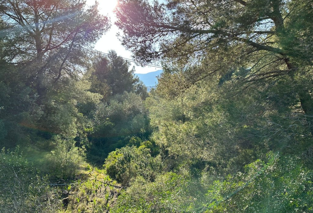 Resale - Land - Calpe - Cometa