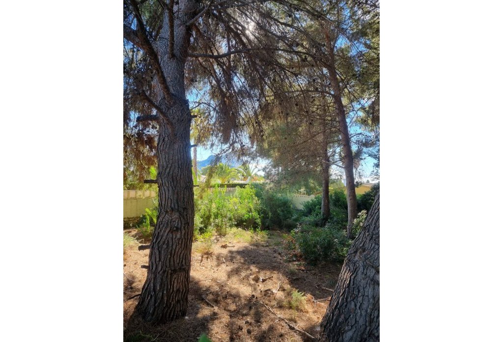 Resale - Land - Calpe - Costeres
