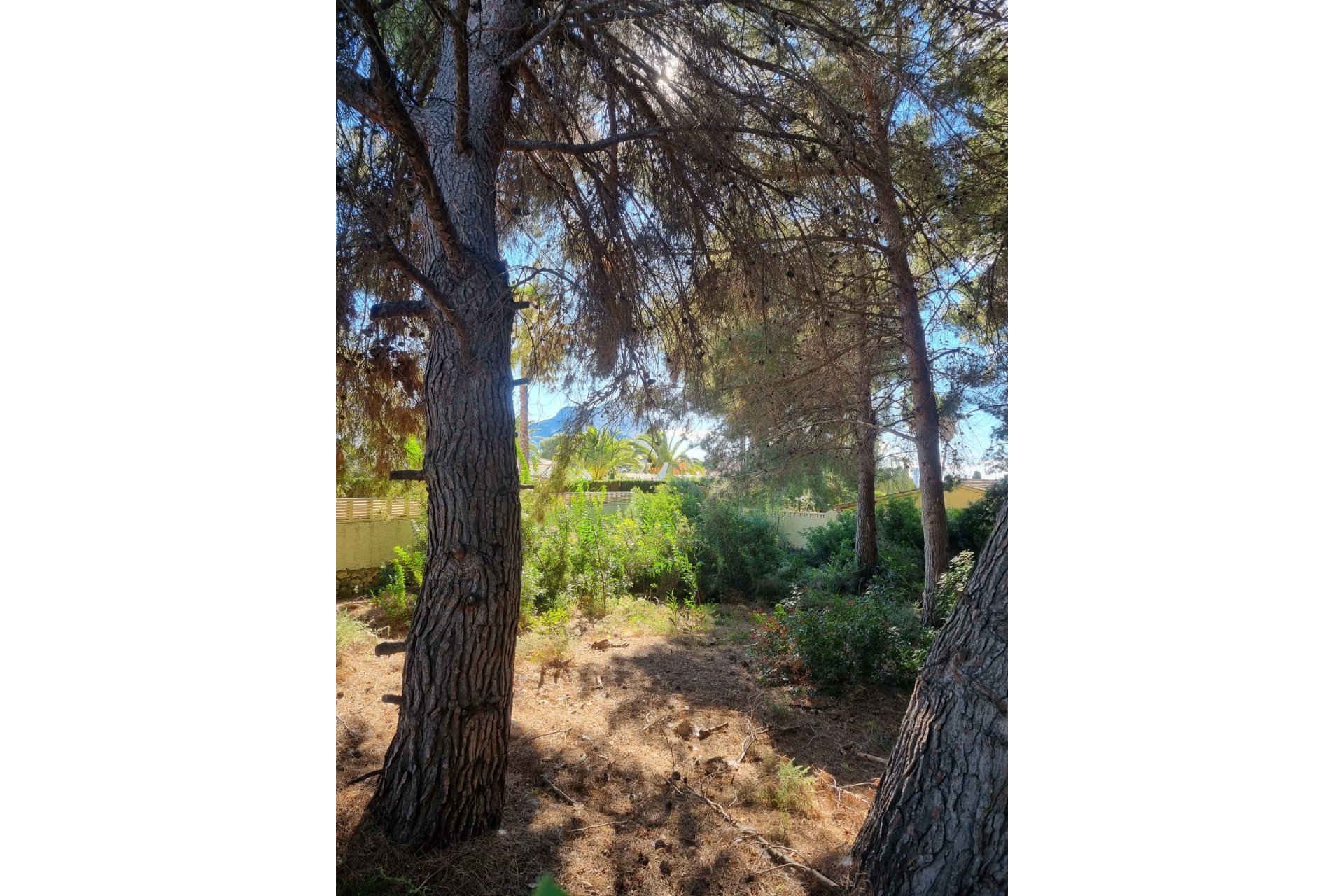 Resale - Land - Calpe - Costeres