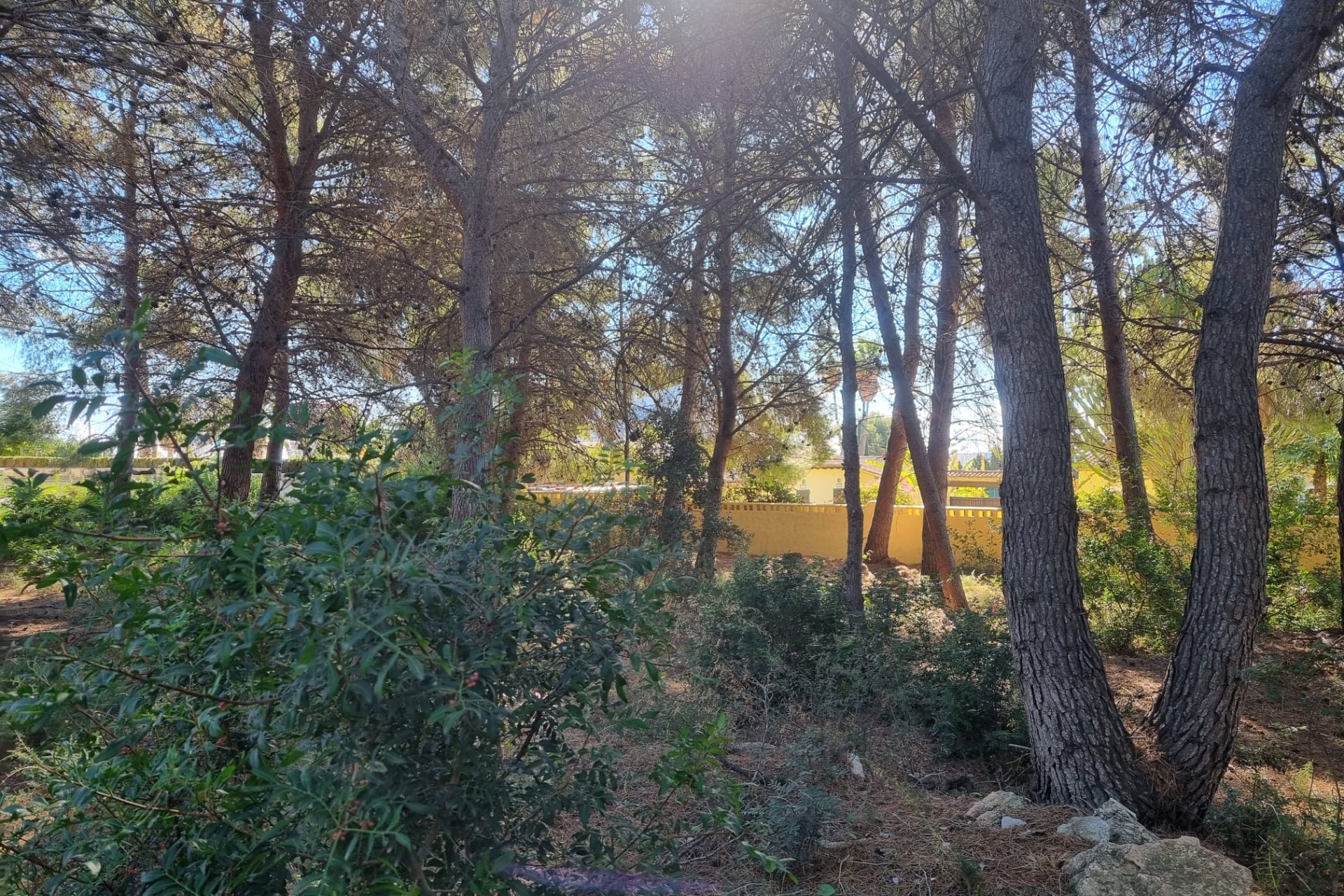 Resale - Land - Calpe - Costeres