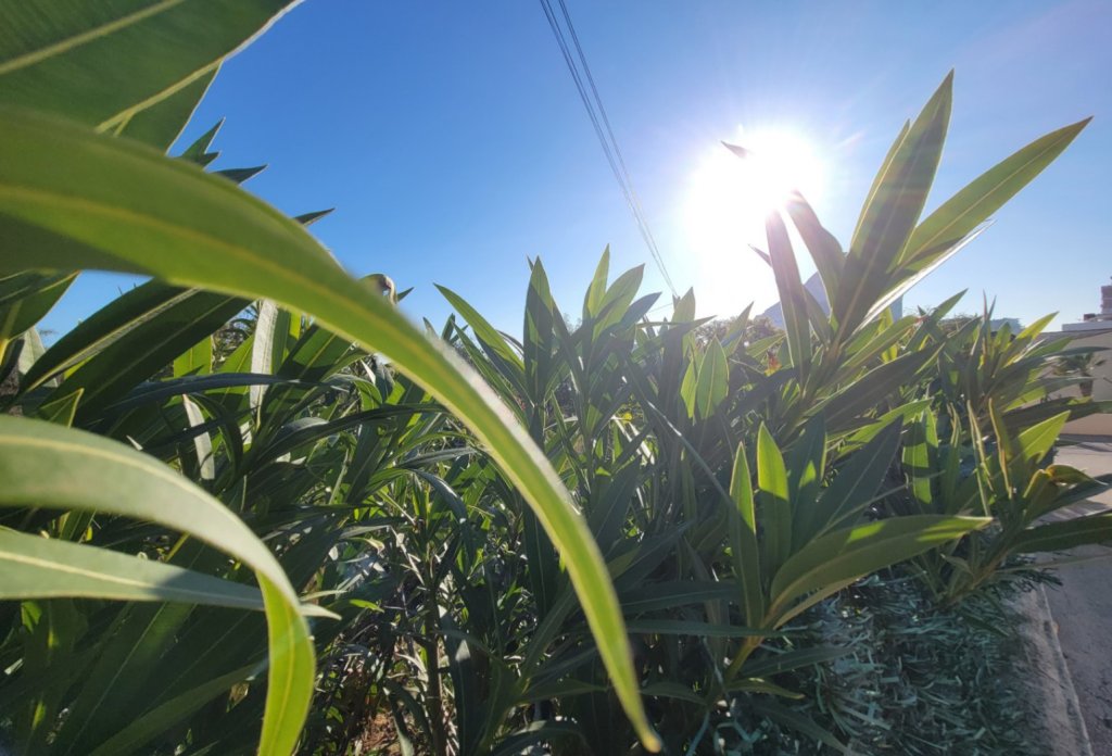 Resale - Land - Calpe