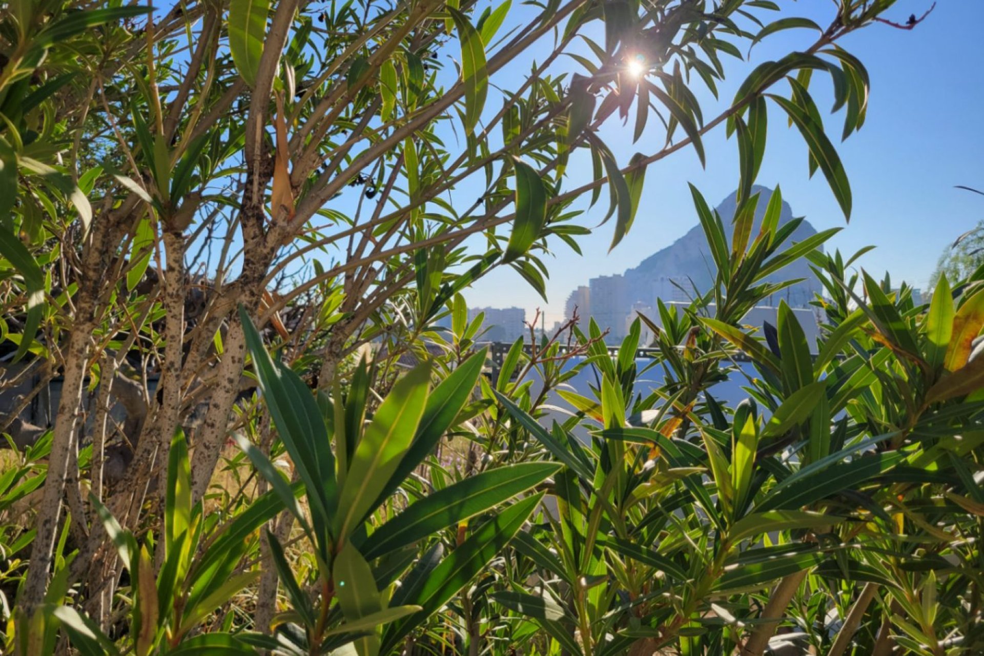 Resale - Land - Calpe