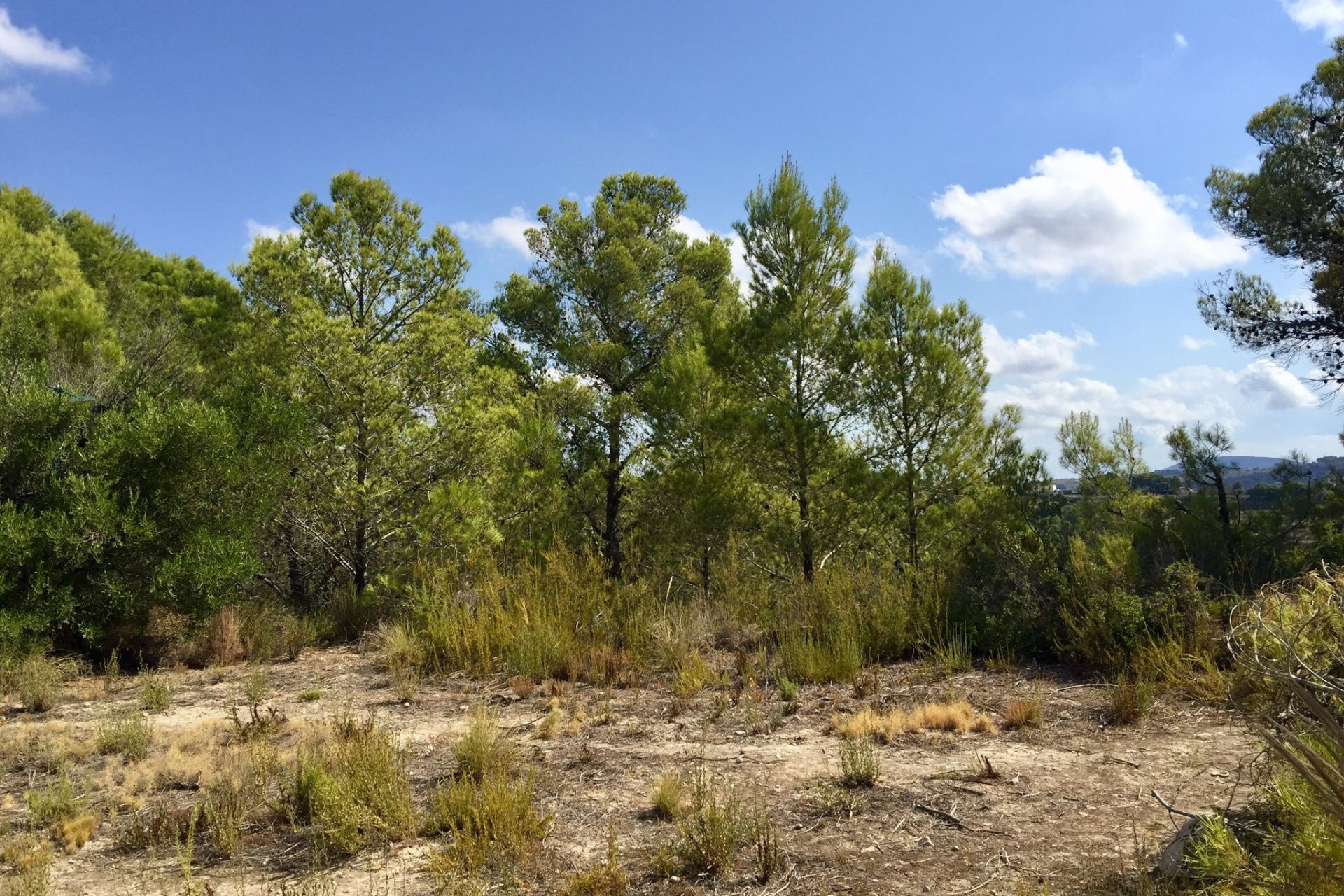 Resale - Plot - Benissa